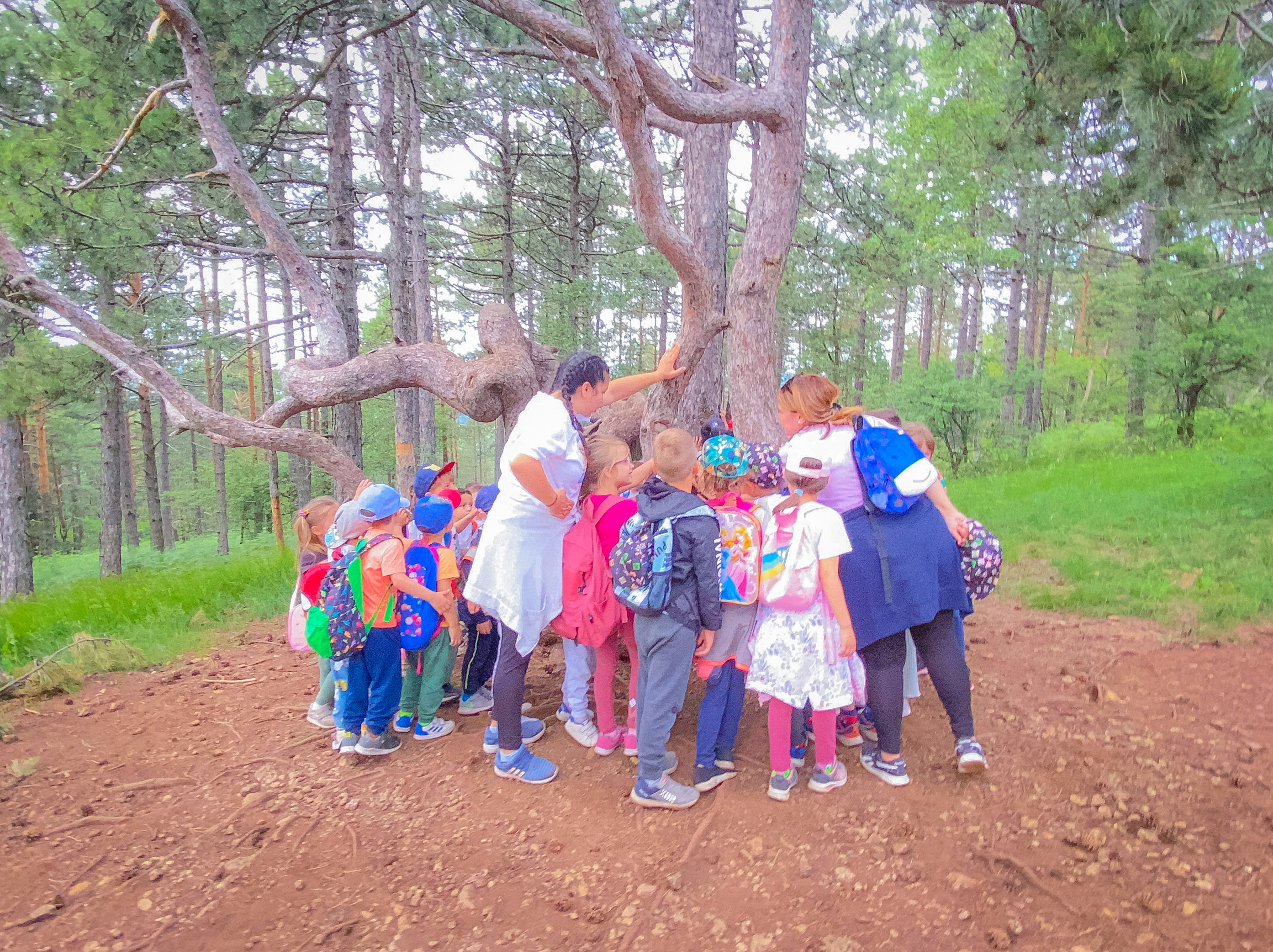 Divčibare- letnja rekreativna