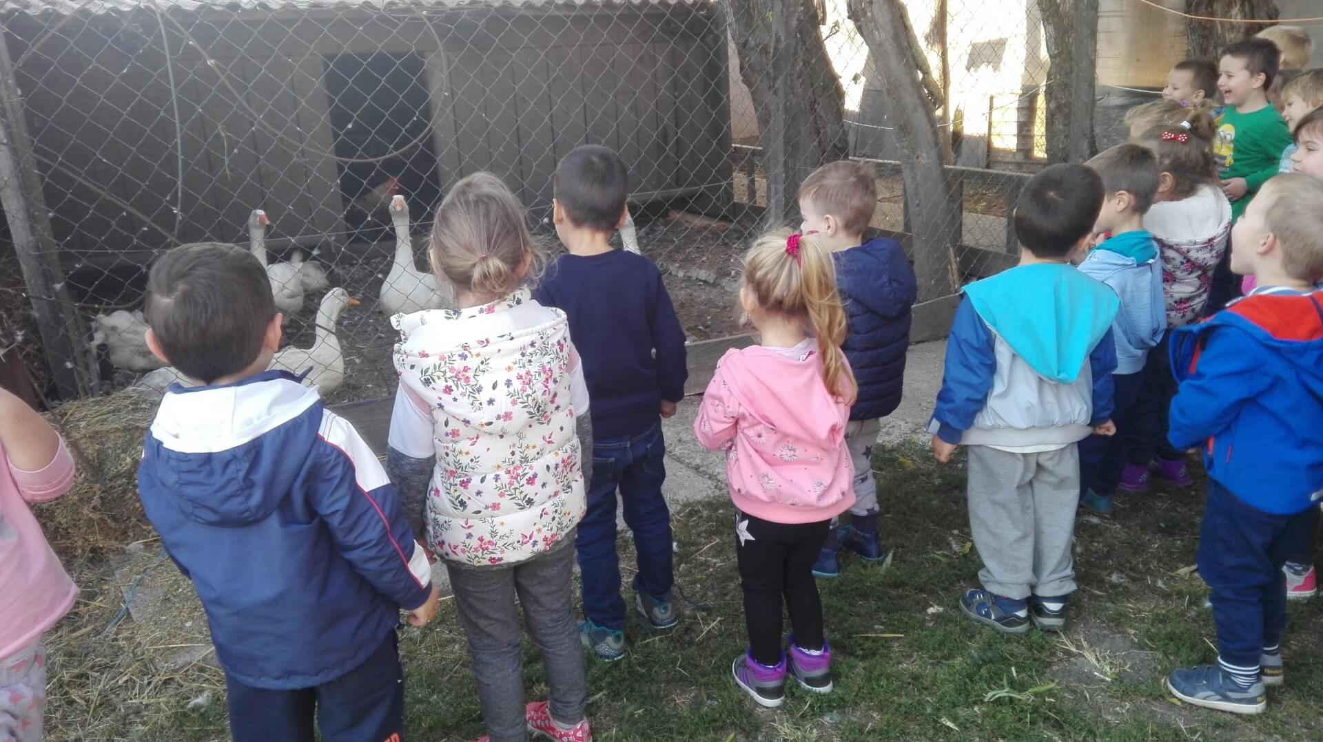 Izlet na Bucin salaš