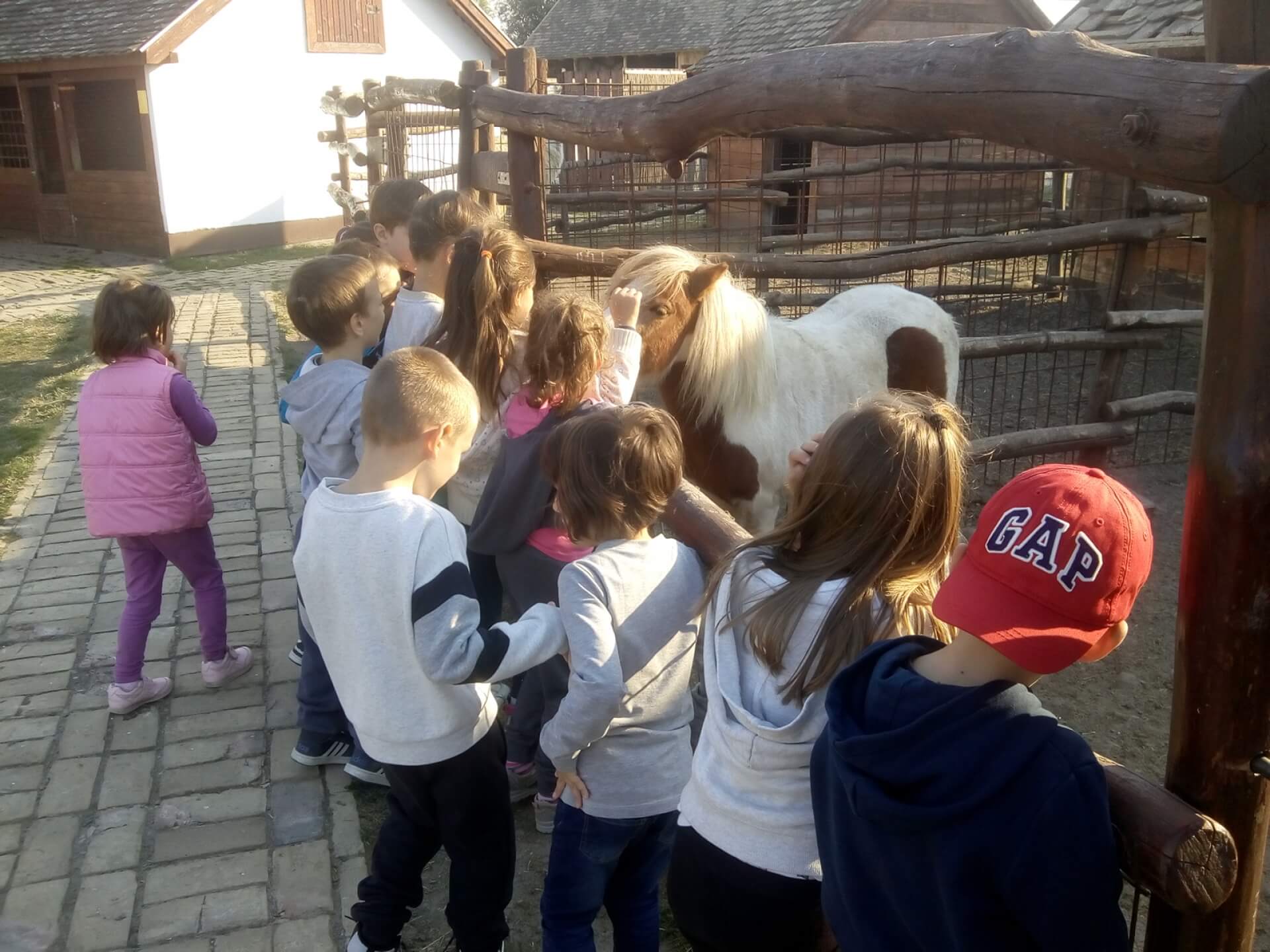 Izlet na Bucin salaš