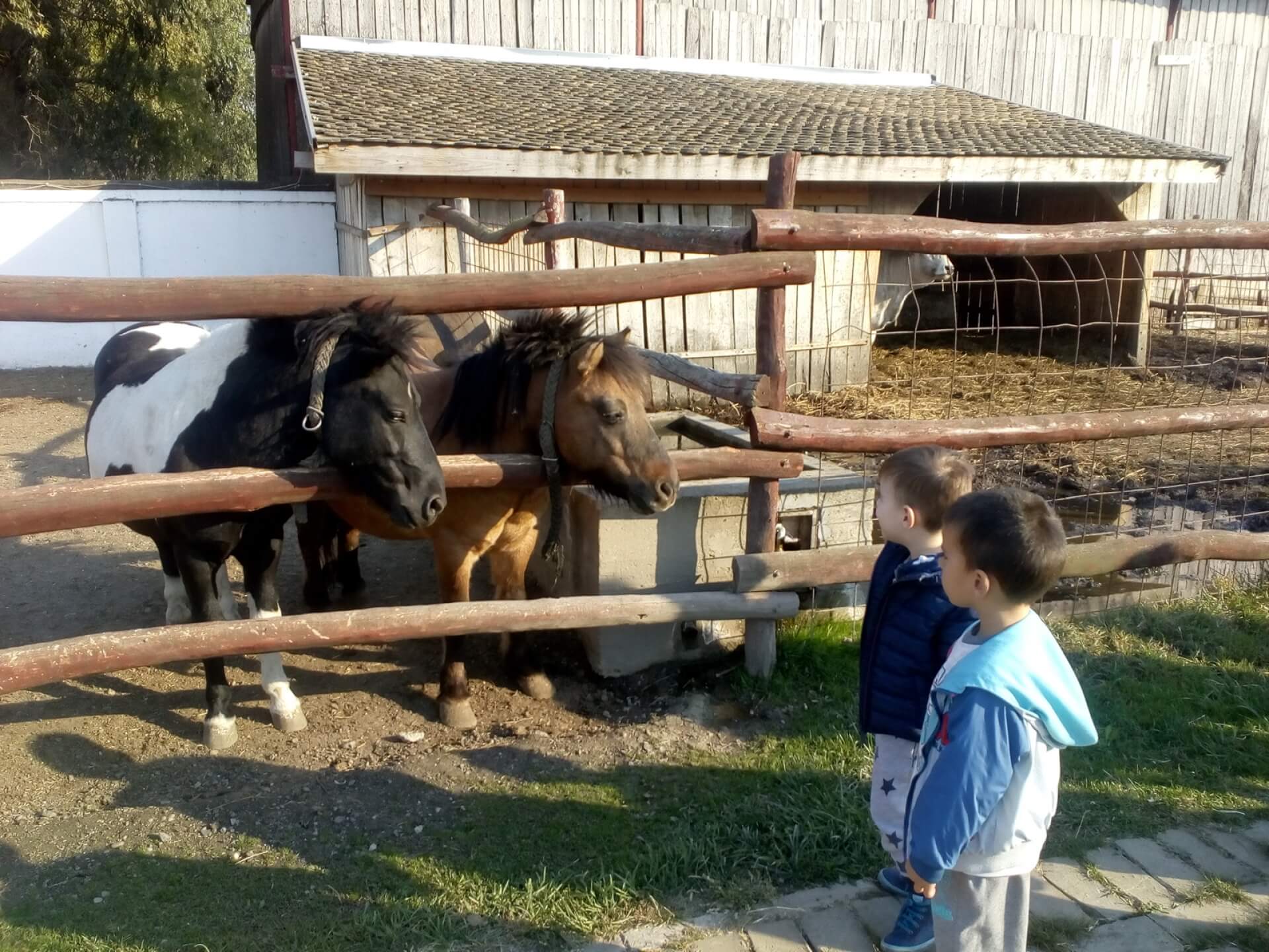 Izlet na Bucin salaš