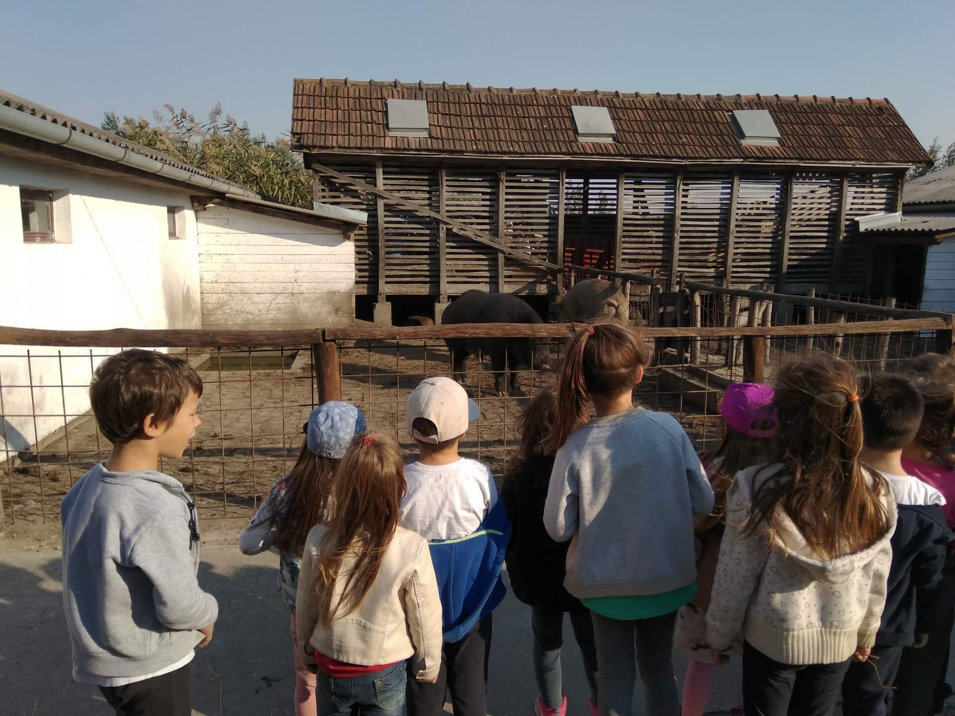 Izlet na Bucin salaš