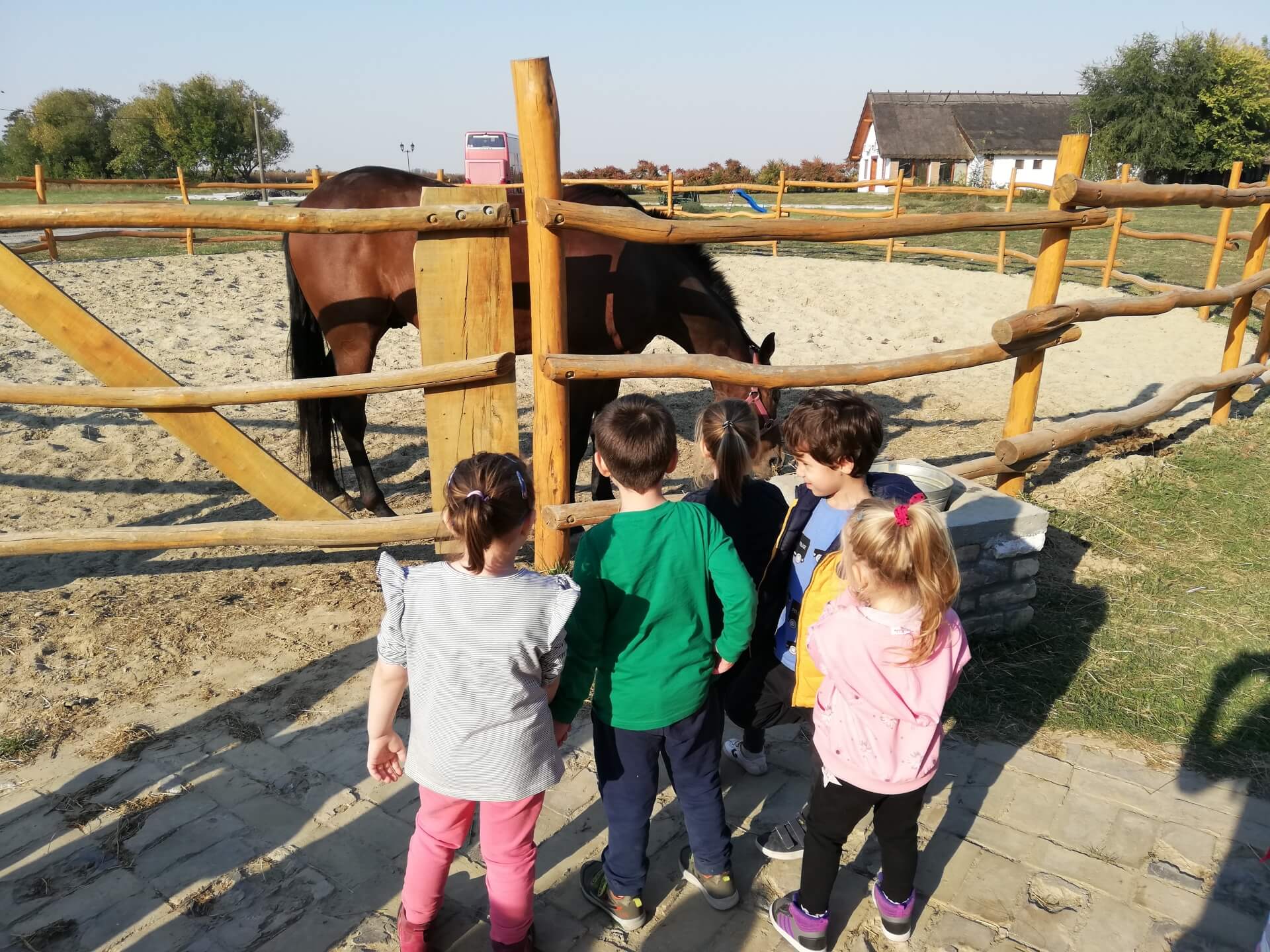 Izlet na Bucin salaš