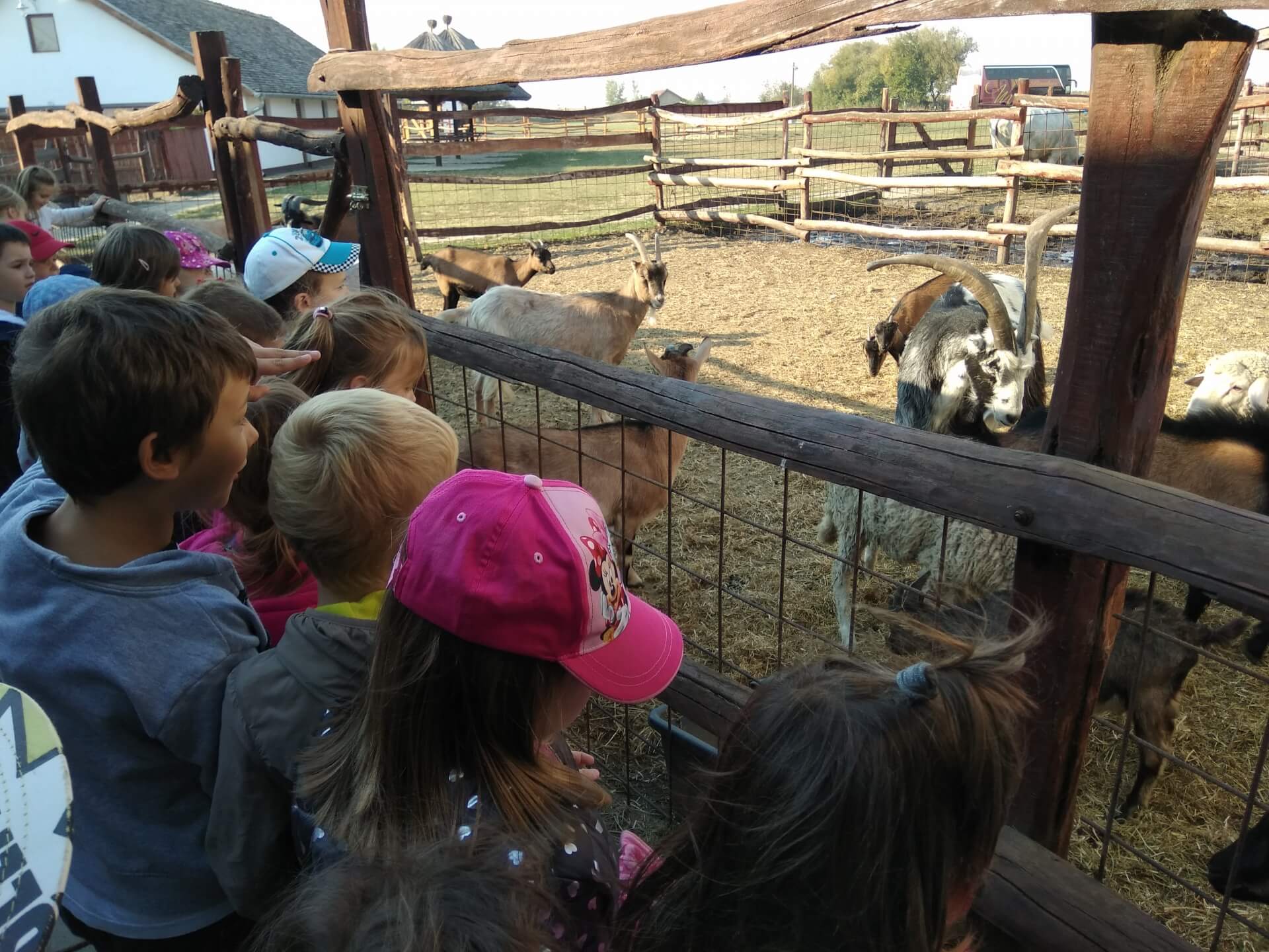 Izlet na Bucin salaš