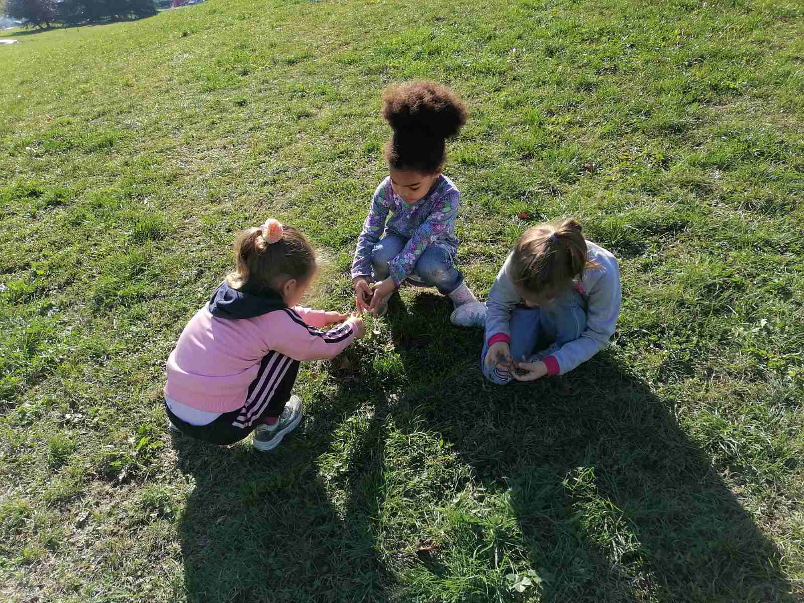 Jesenja šetnja do Zemunskog keja