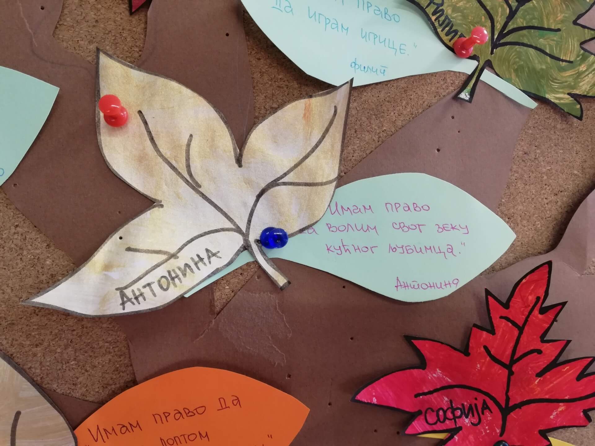 Obeležavanje Dečije nedelje