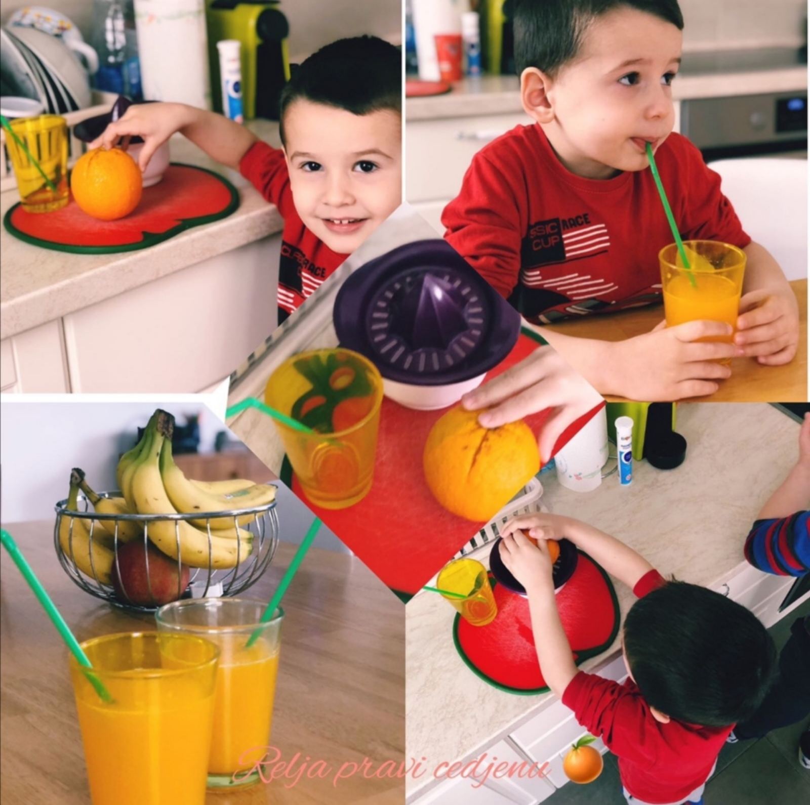 On line platforma ,,CLASS DOJO"