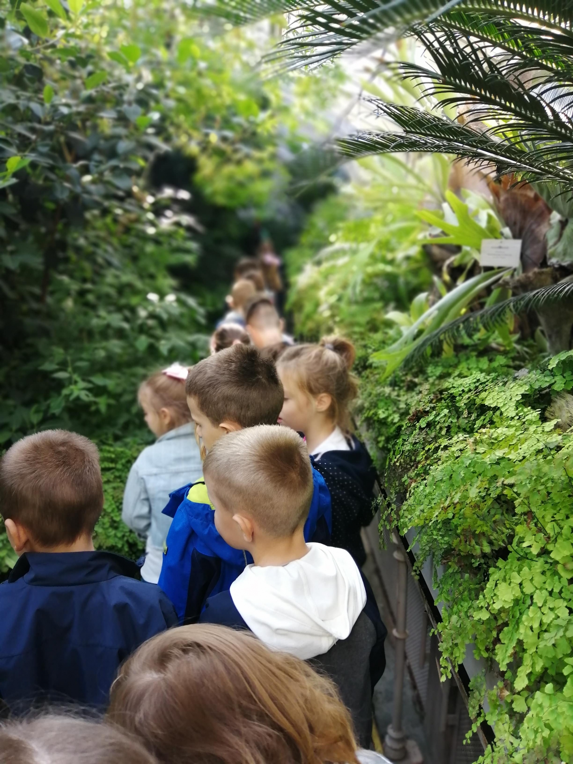 Poseta Botaničkoj bašti