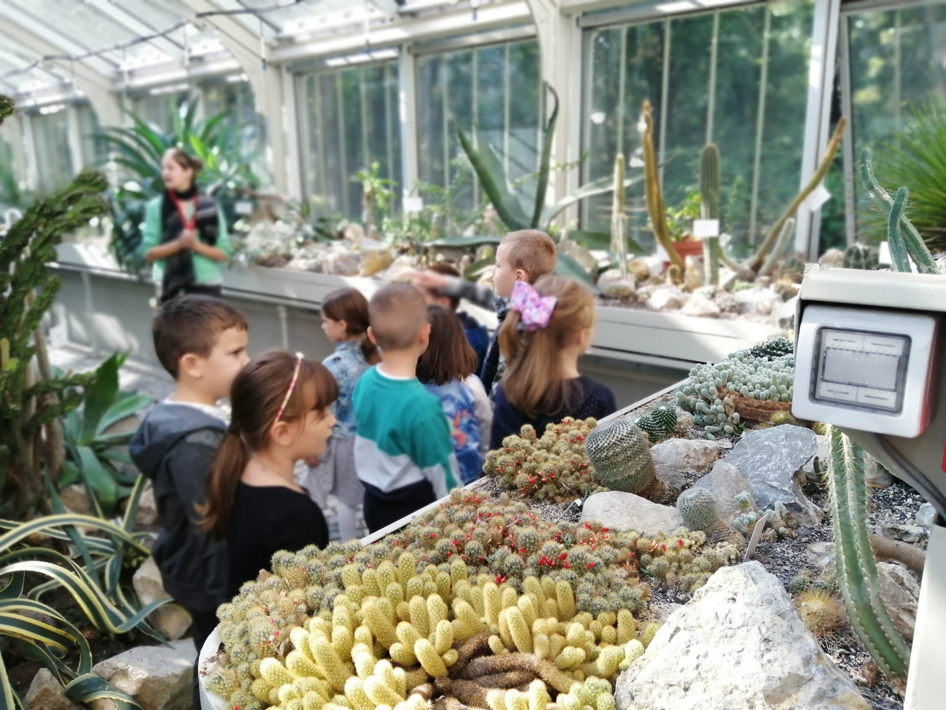 Poseta Botaničkoj bašti