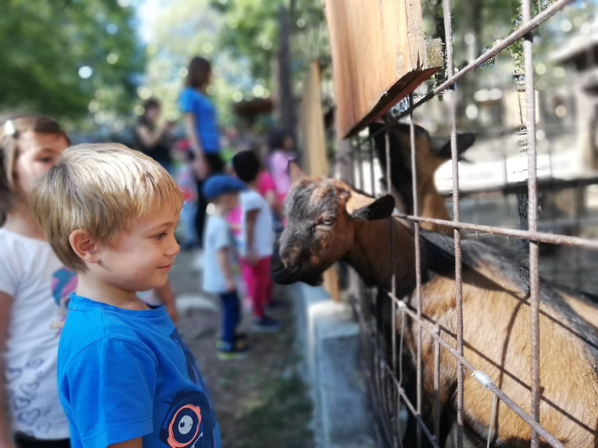 Poseta etno domaćinstvu "Zornića kuća"
