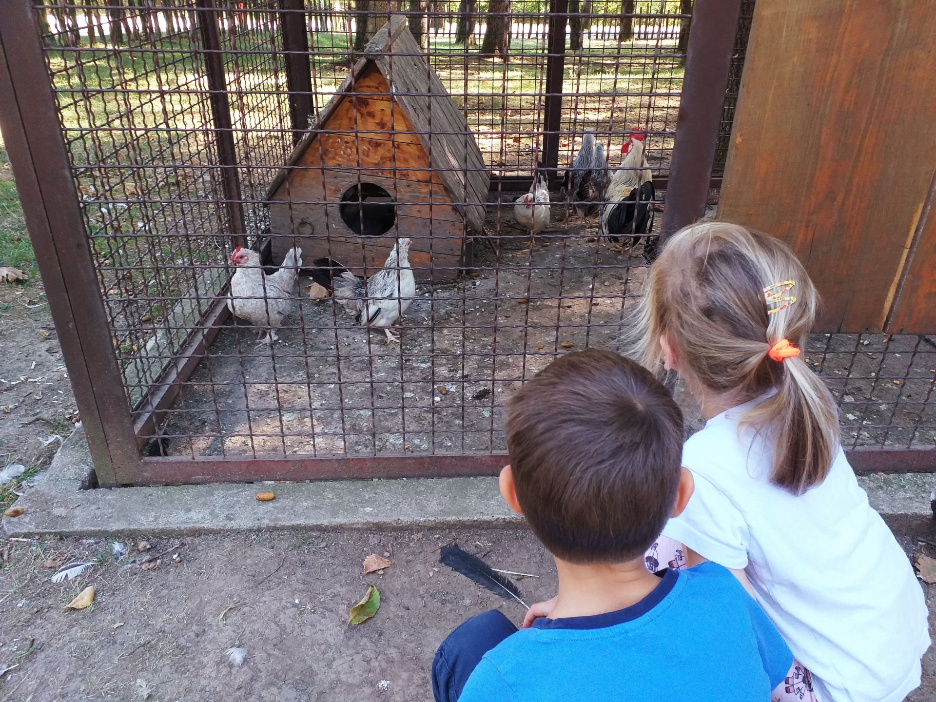 Poseta etno domaćinstvu "Zornića kuća"