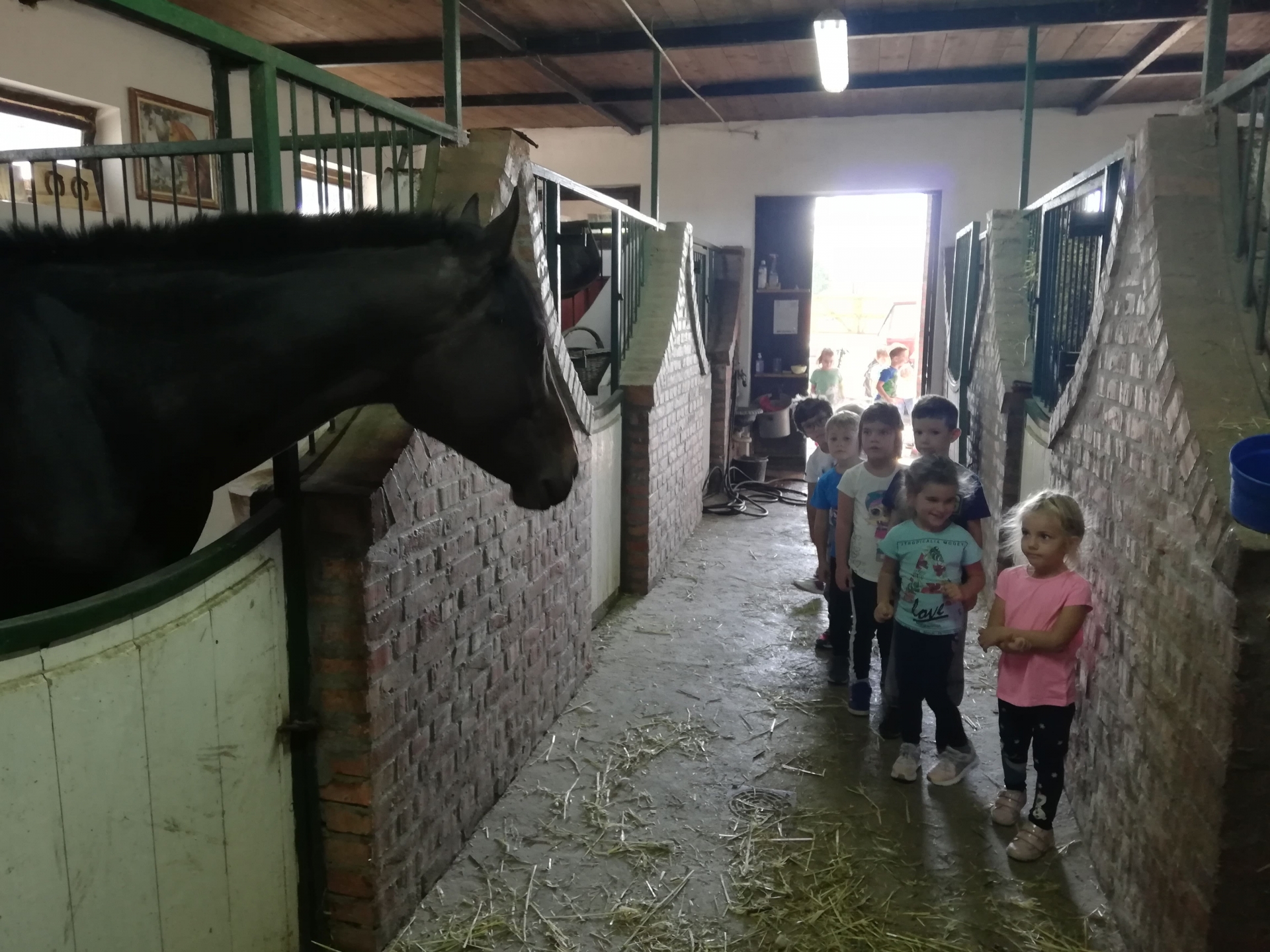 Poseta etno domaćinstvu "Zornića kuća"