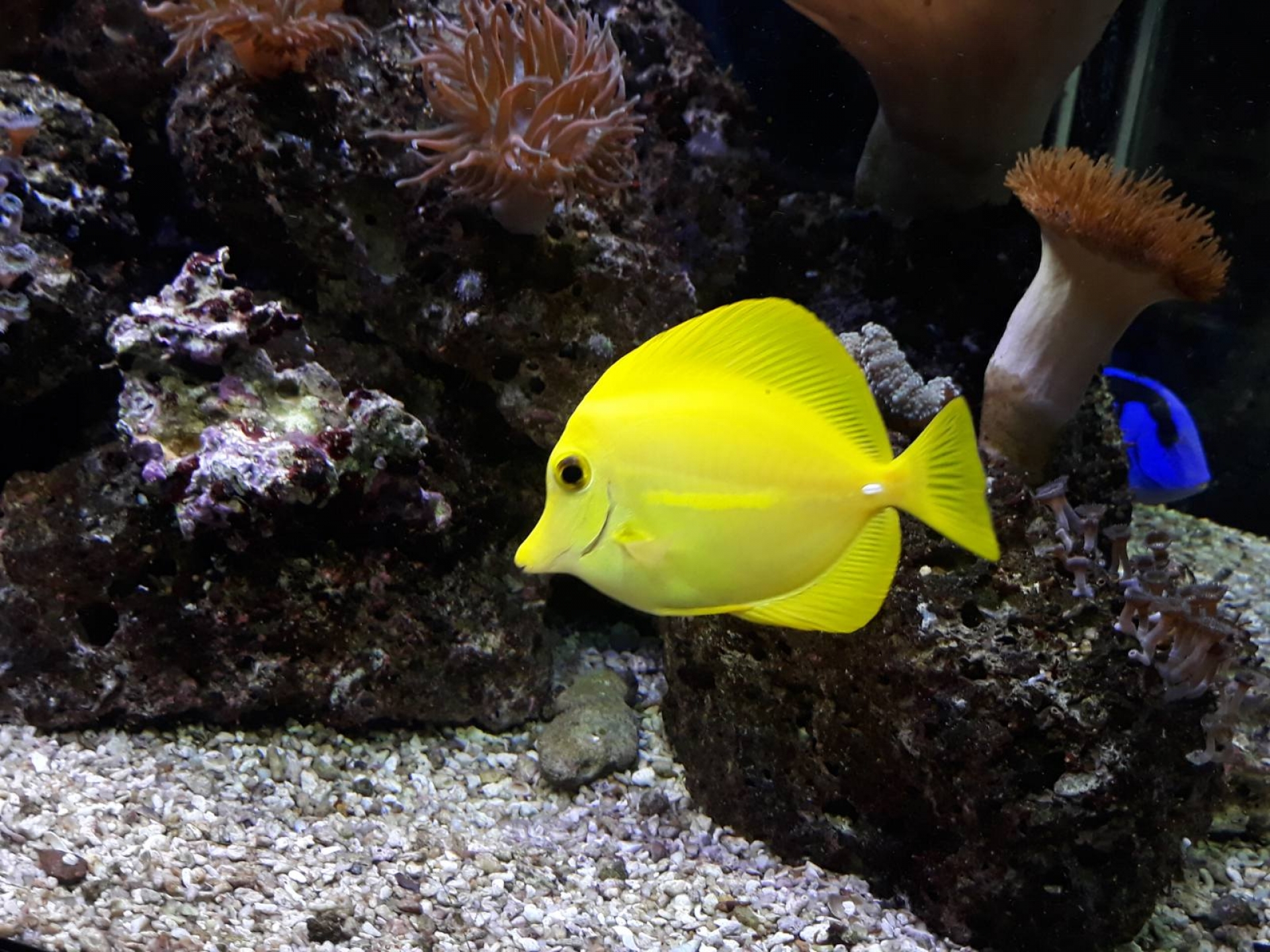 Poseta Javnom akvarijumu i tropikarijumu