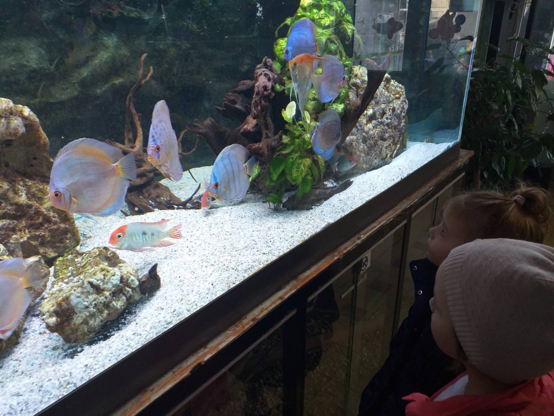 Poseta Javnom akvarijumu i tropikarijumu