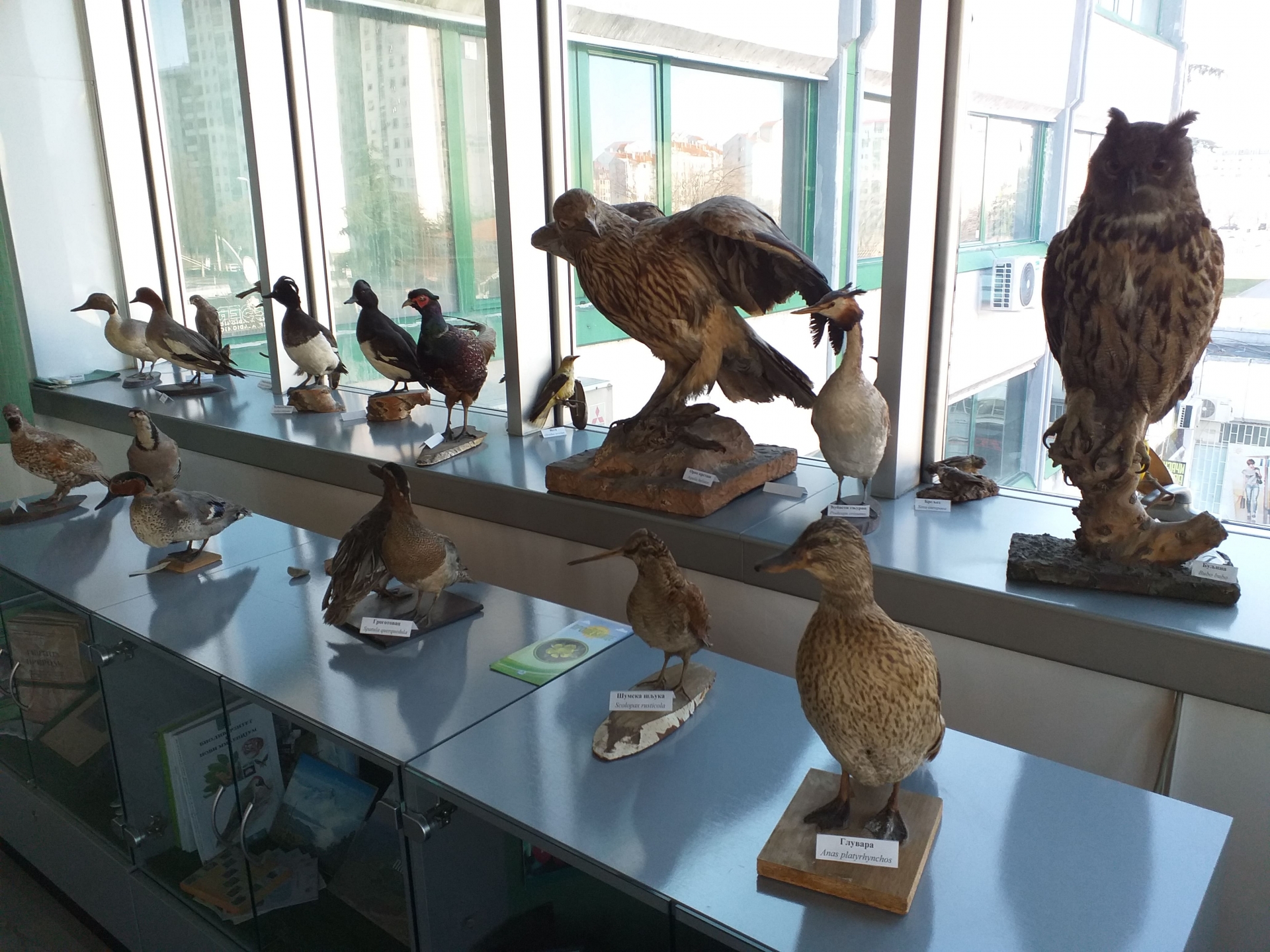 Poseta Zavodu za zaštitu prirode Srbije