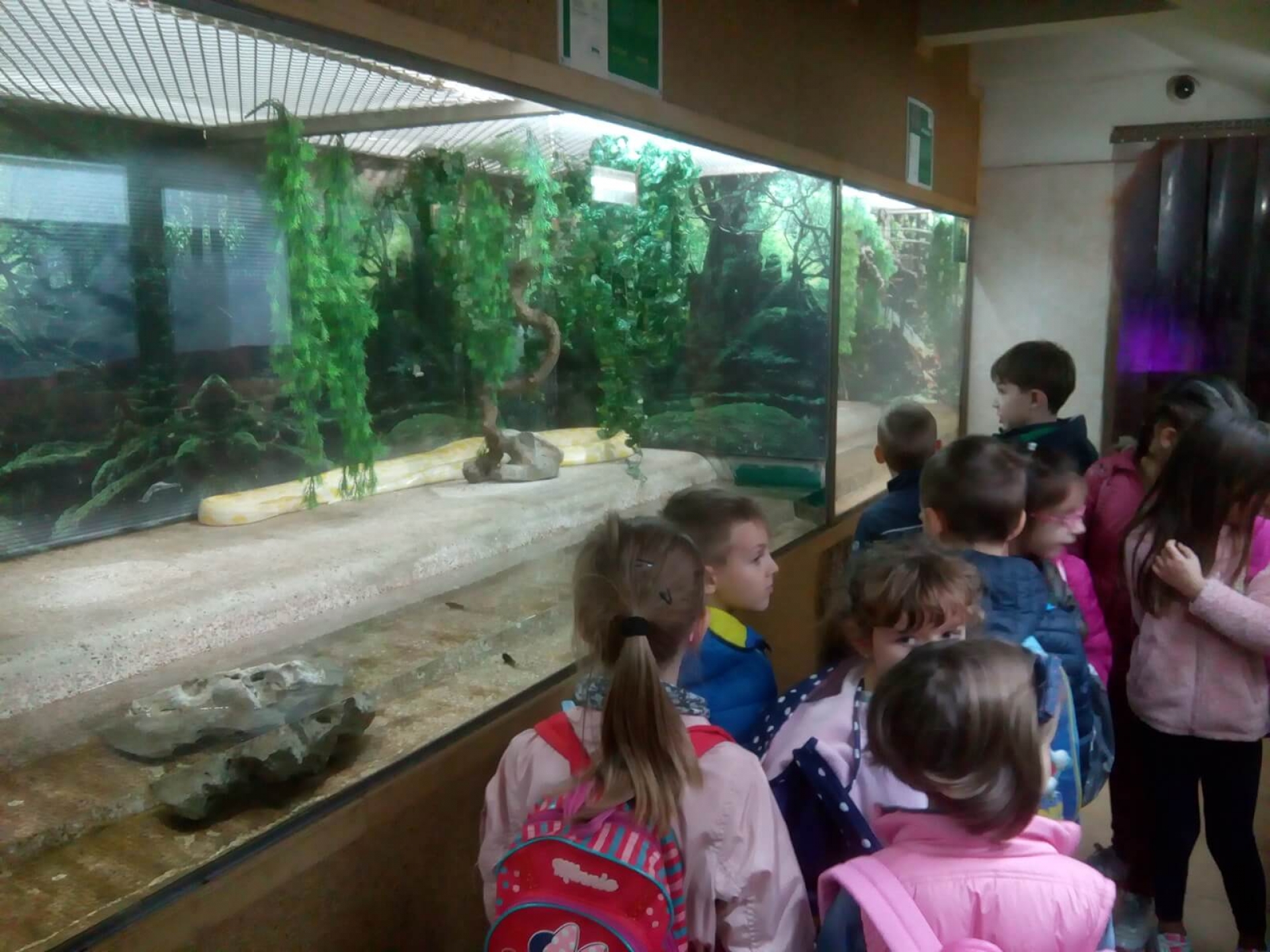 Poseta Zoološkom vrtu