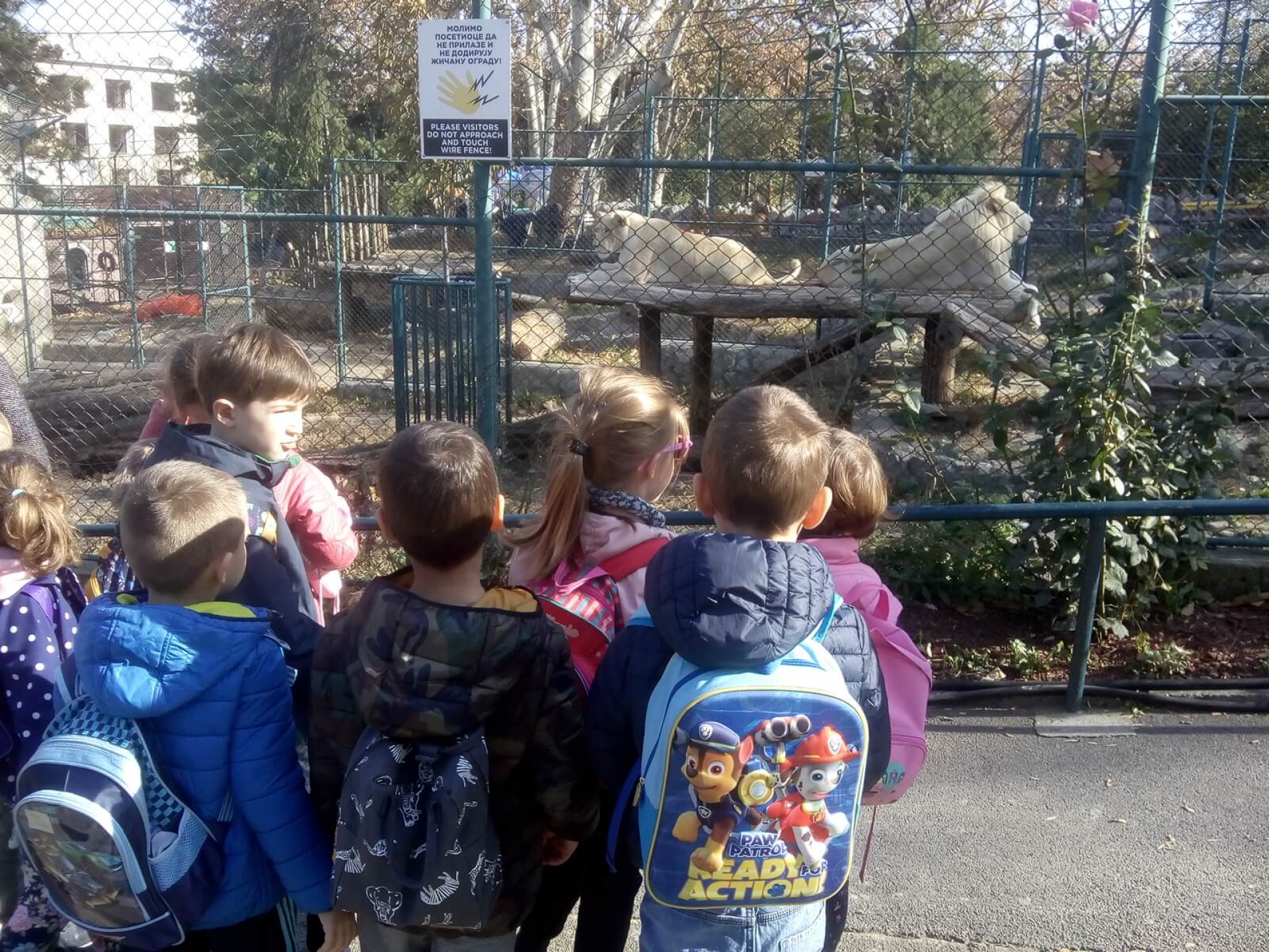 Poseta Zoološkom vrtu