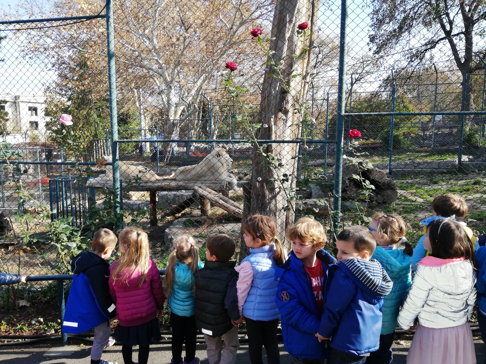 Poseta Zoološkom vrtu