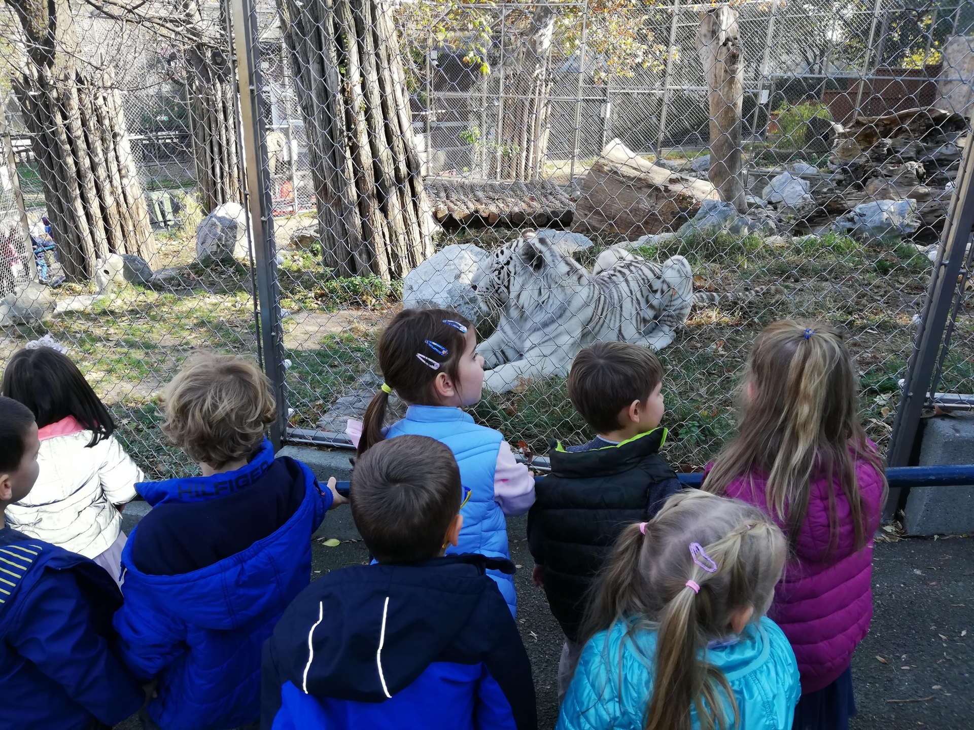 Poseta Zoološkom vrtu