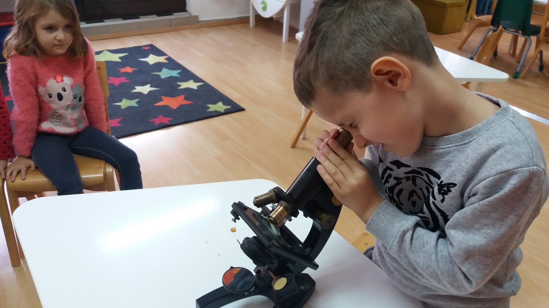 Projekat "Život nekad i sad"