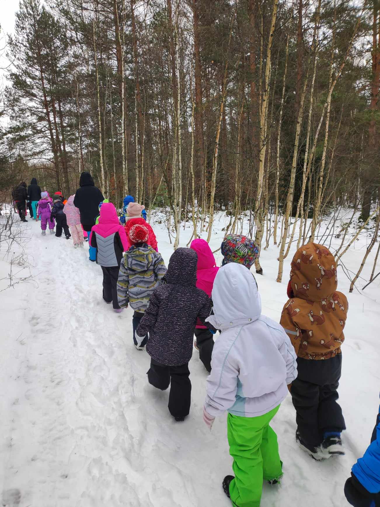 REKREATIVNA NASTAVA NA DIVCIBARAMA JANUAR 2024