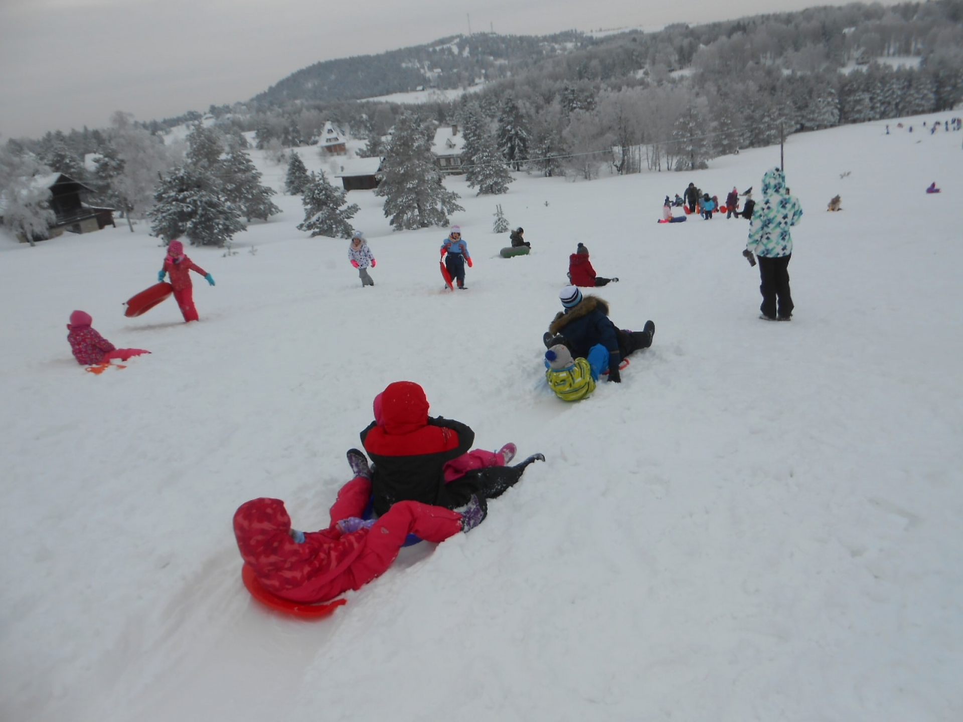 Rekreativna nastava u januaru 2019. godine