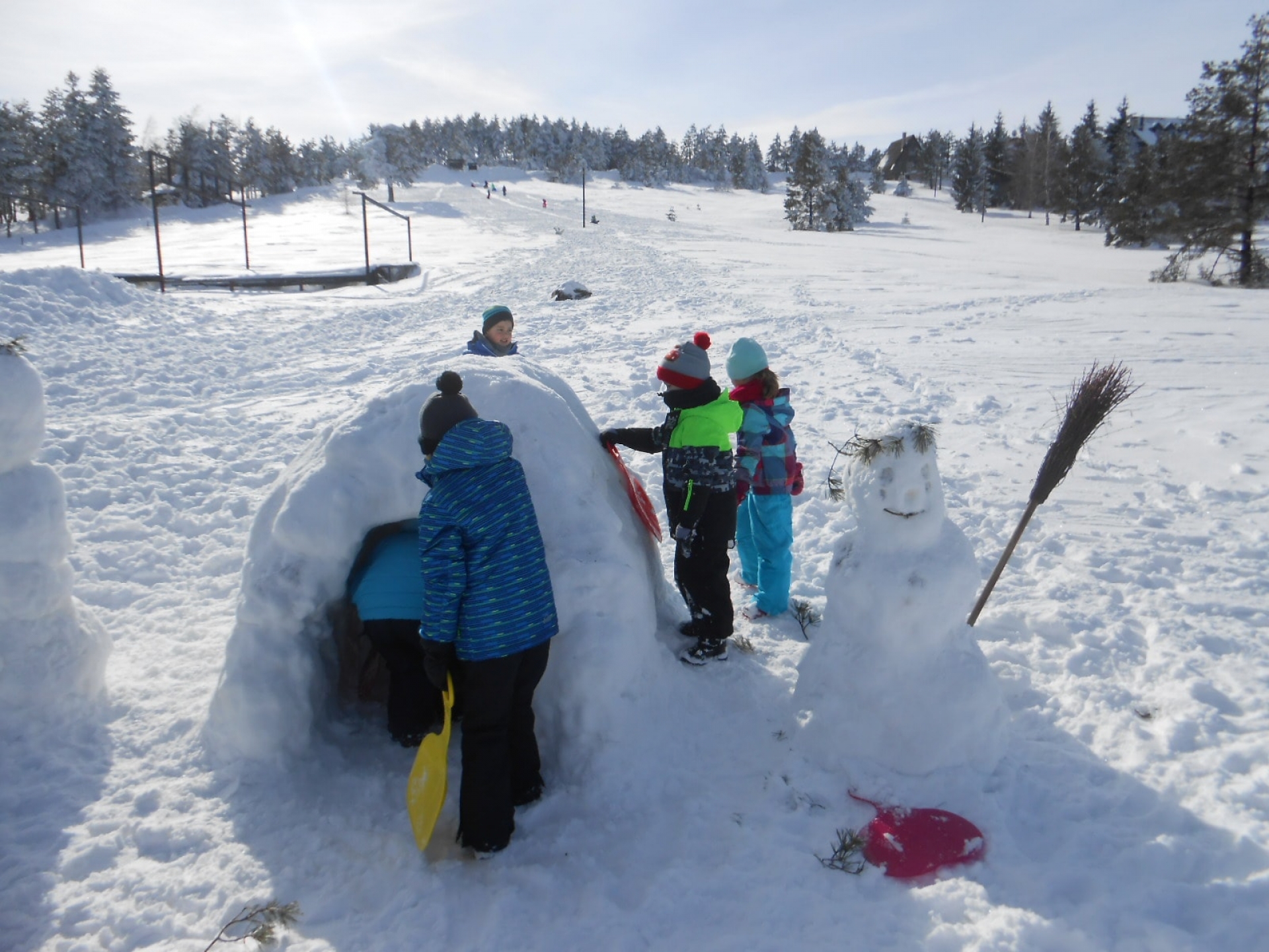 Rekreativna nastava u januaru 2019. godine