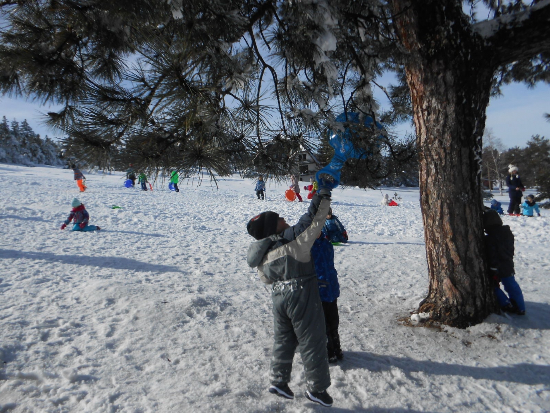Rekreativna nastava u januaru 2019. godine